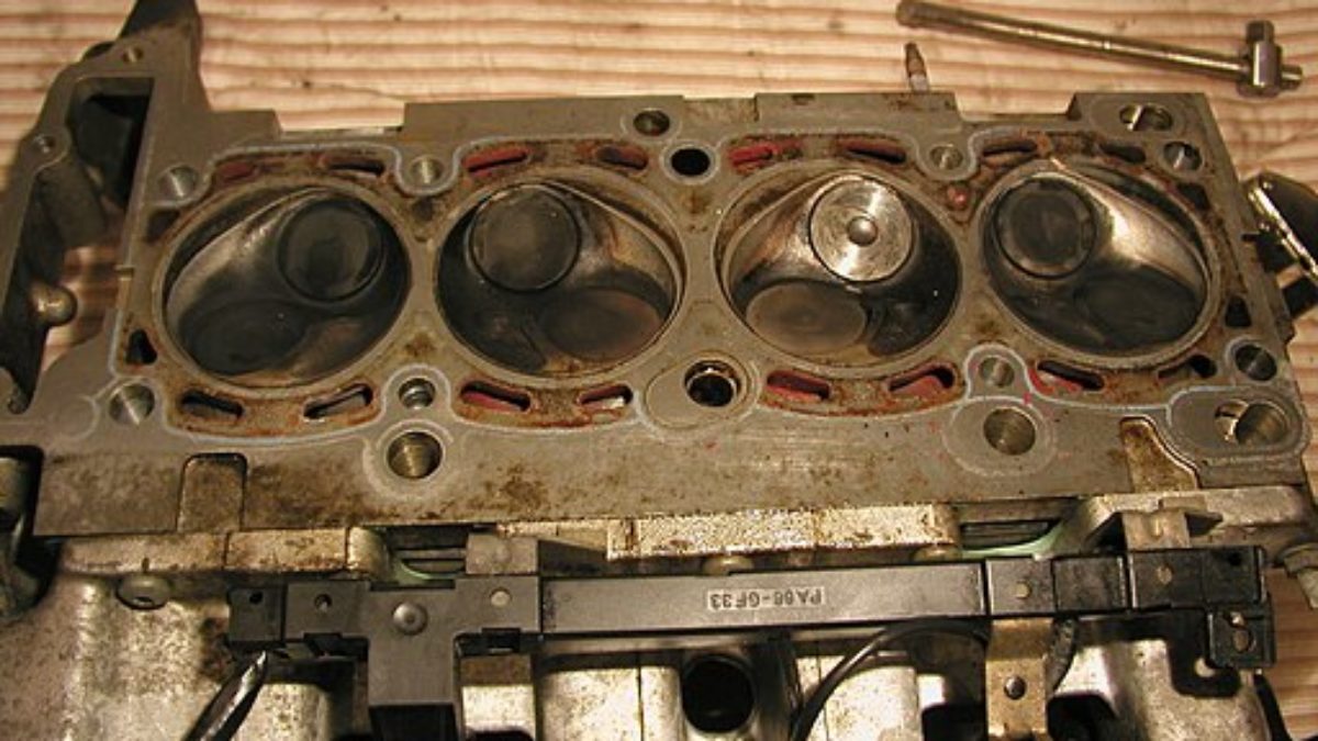where can i buy a head gasket